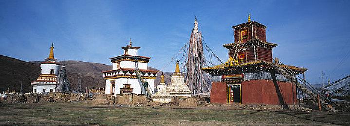 《刺客信条：影》玩家调查：大部分人没有打通游戏